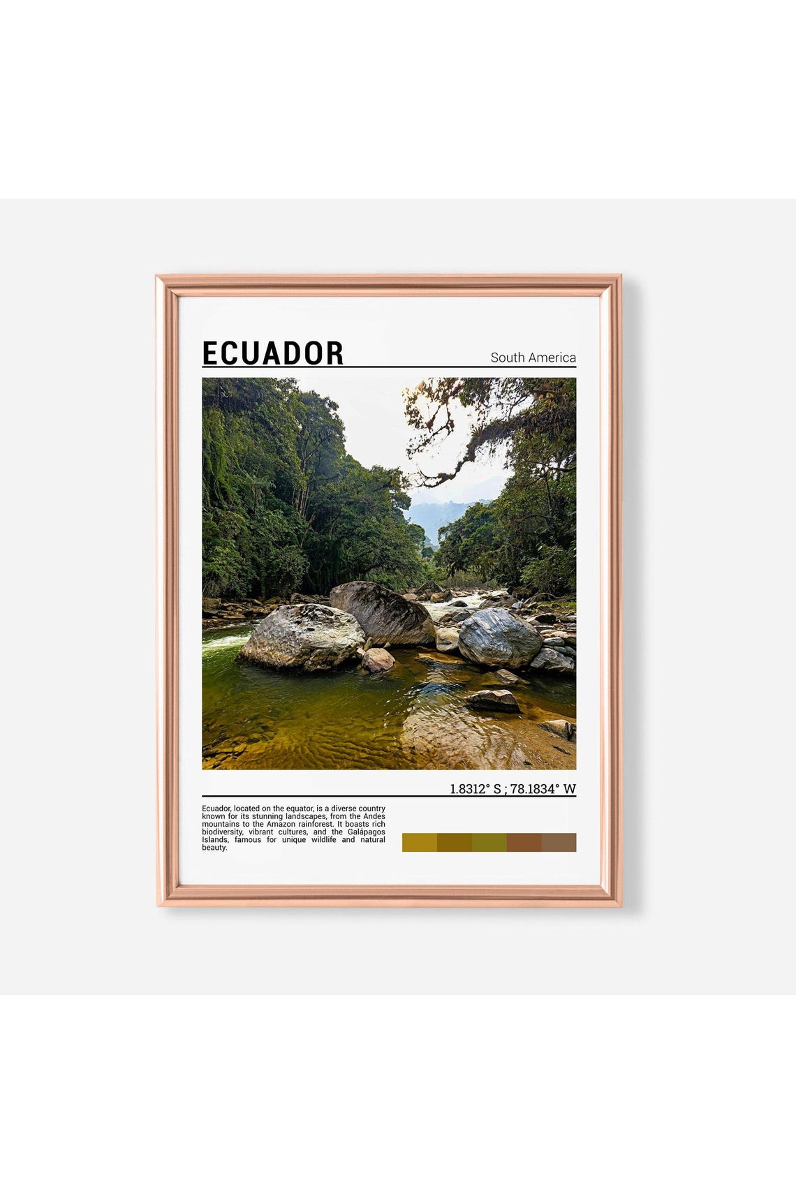 Ecuador South America Jungle River Rocks Nature Photo Poster