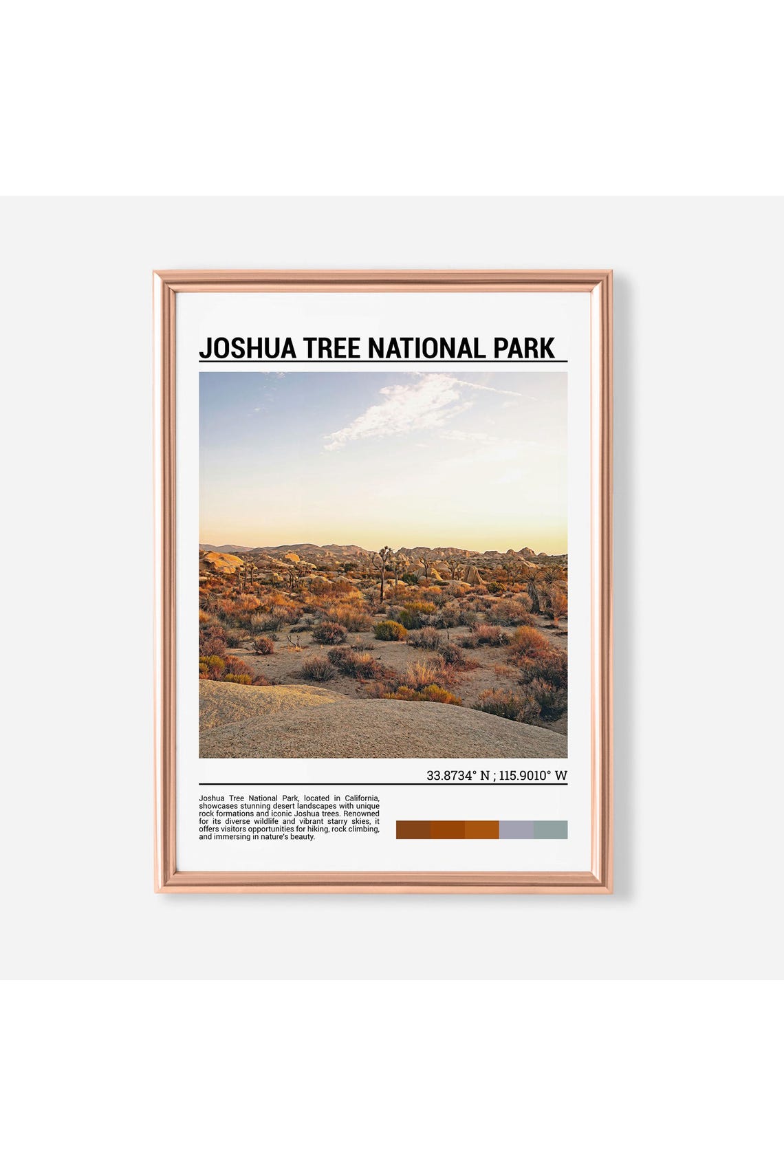 Joshua Tree National Park Desert Plain Golden Light Photo Poster