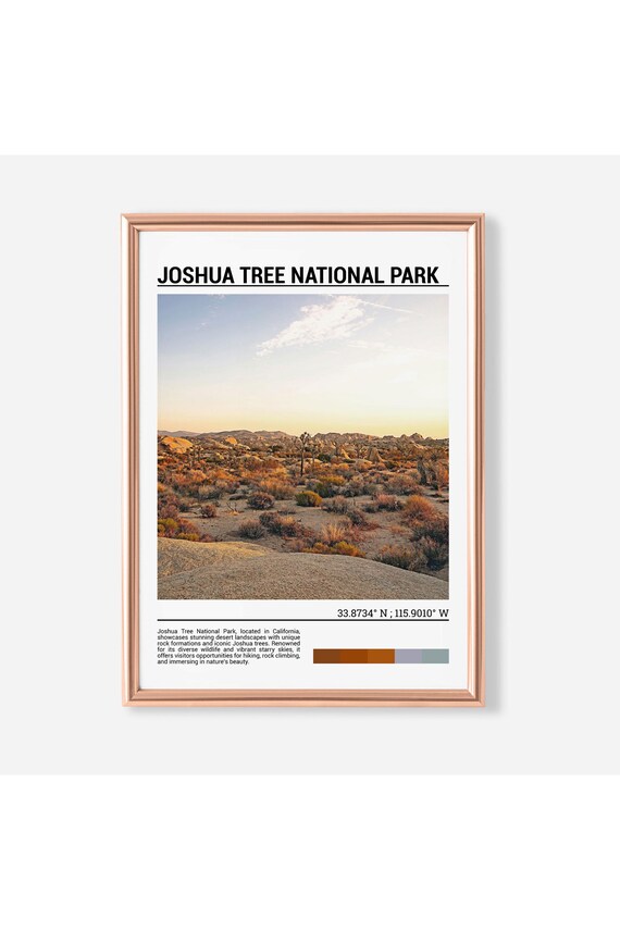 Joshua Tree National Park Desert Plain Golden Light Photo Poster
