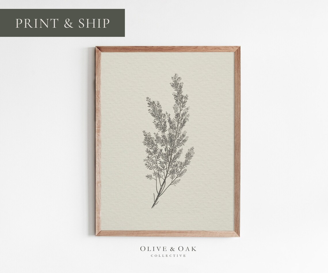 Rustic Botanical Art Print, Simple Neutral Decor