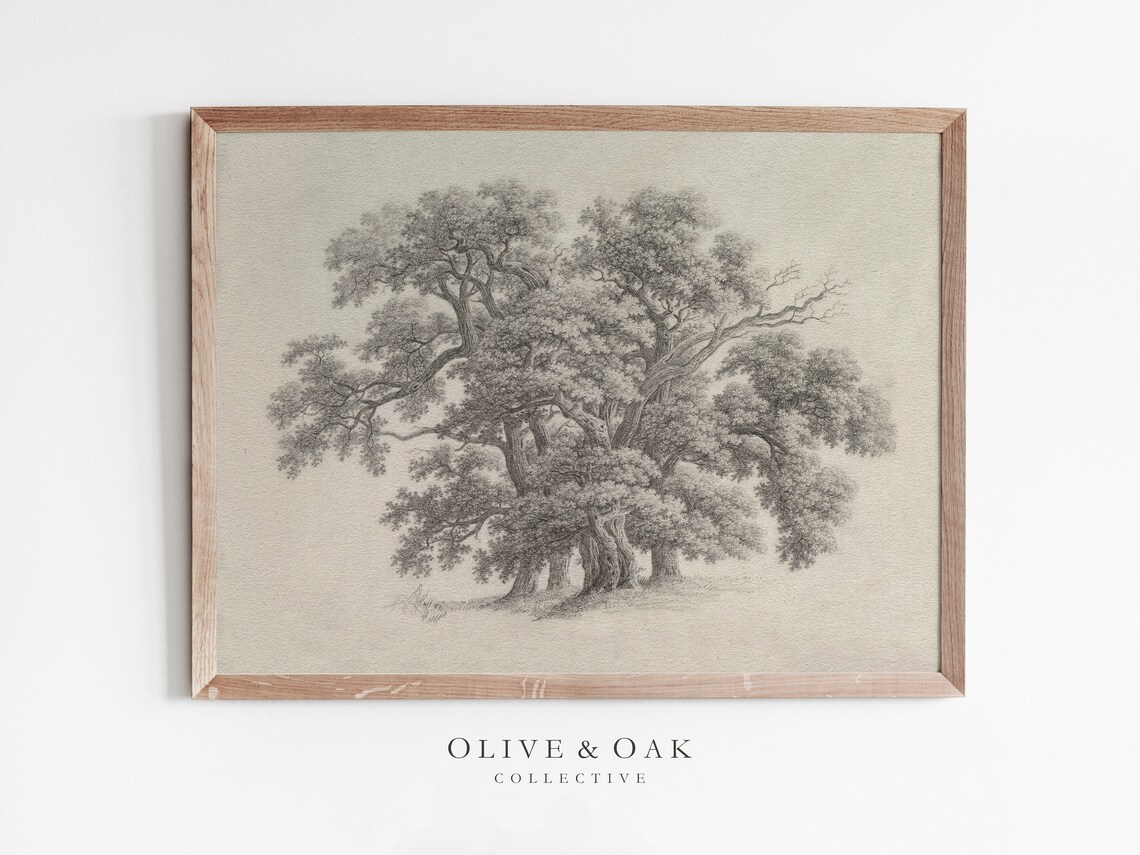 Vintage Oak Tree Sketch, Botanical Drawing Art Print