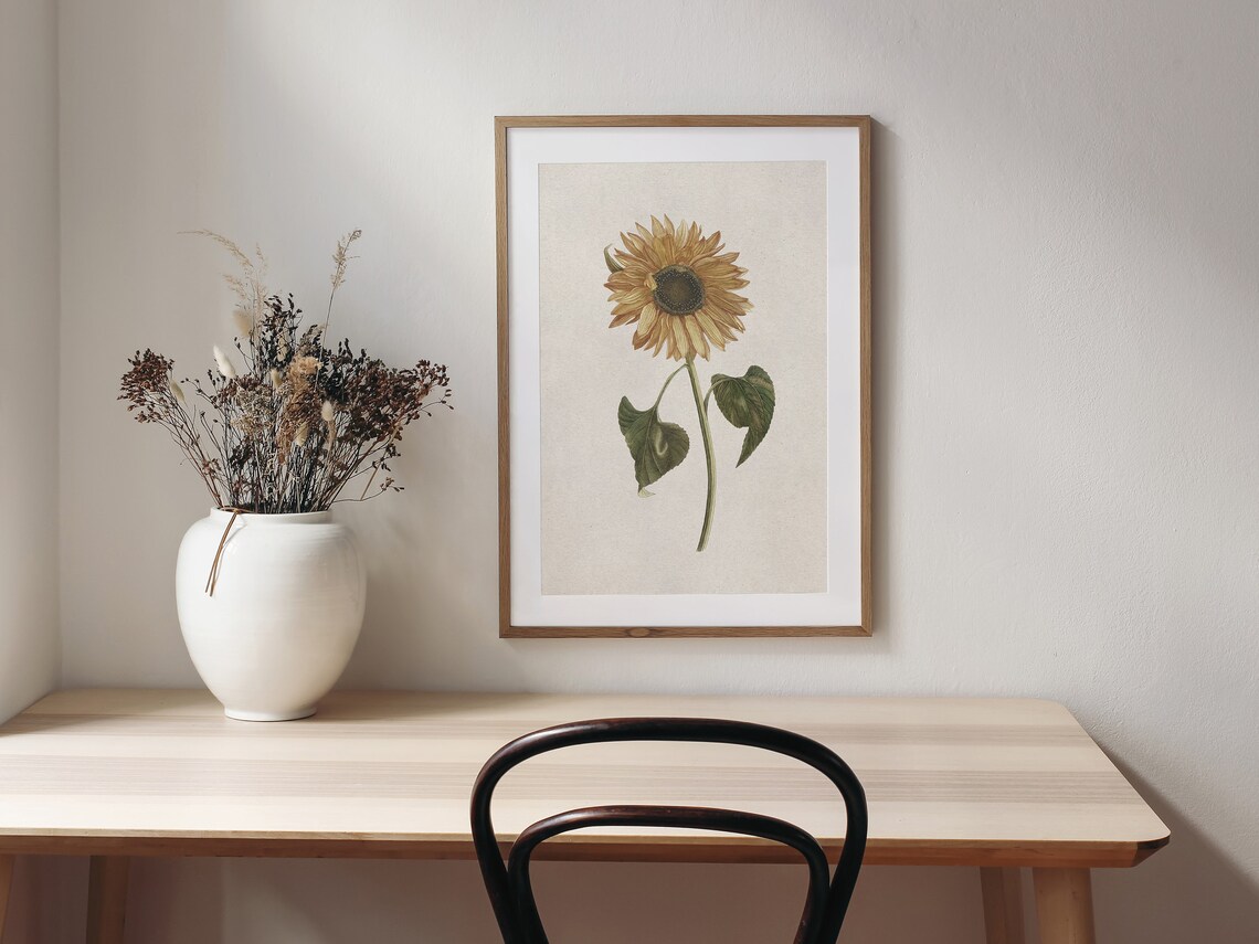 Sunflower Botanical Art Print, Autumn Decor - Image 4