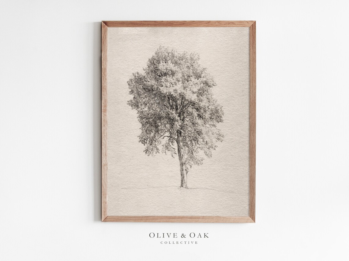 Antique Tree Drawing, Vintage Art Print