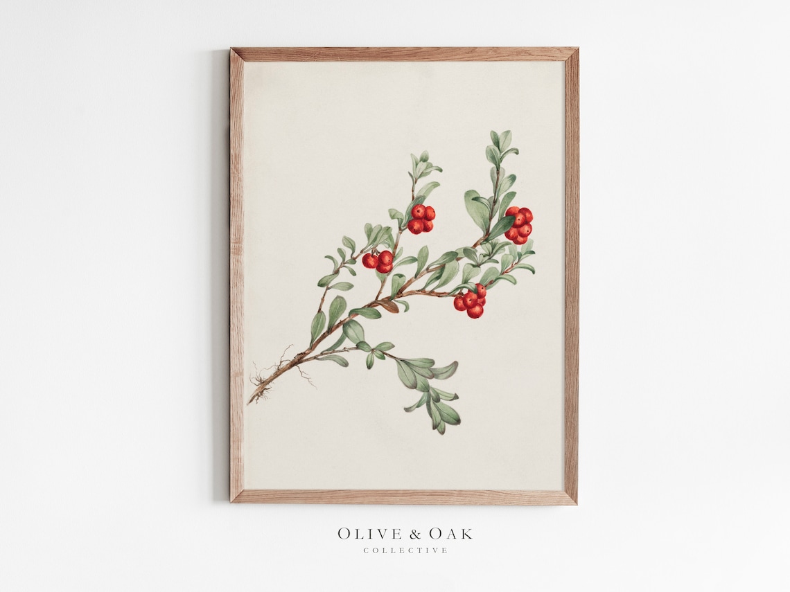 Winter Botanical Drawing, Vintage Farmhouse Art Print