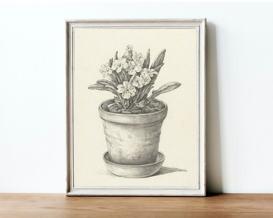 Botanical Sketch Vintage Flower Drawing, Farmhouse Art Print - Image 4