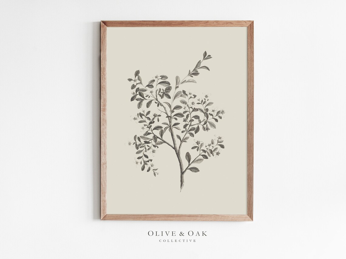 Simple Branch Drawing Botanical Art Print, Neutral
