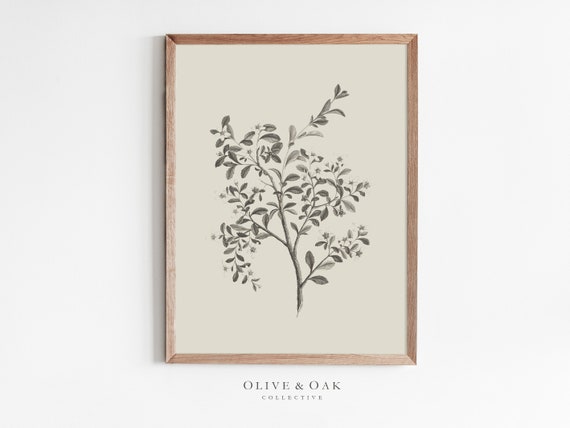 Simple Branch Drawing Botanical Art Print, Neutral