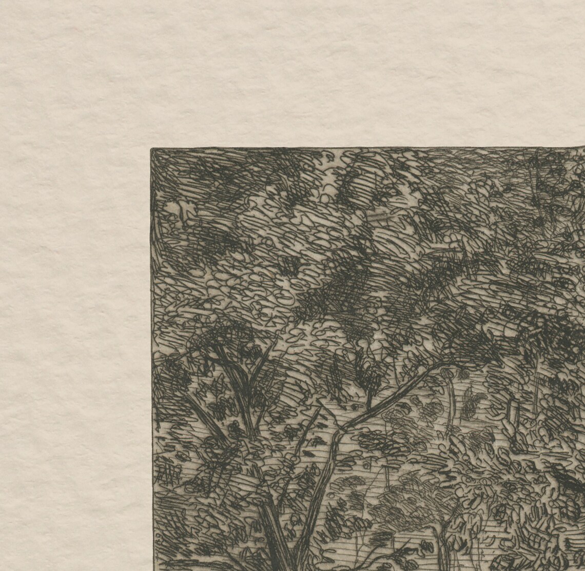 Vintage Tree Sketch Forest Landscape Art Print - Image 4