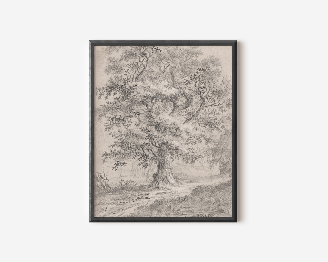 Vintage Tree Sketch, Rustic Neutral Wall Art Print - Image 4