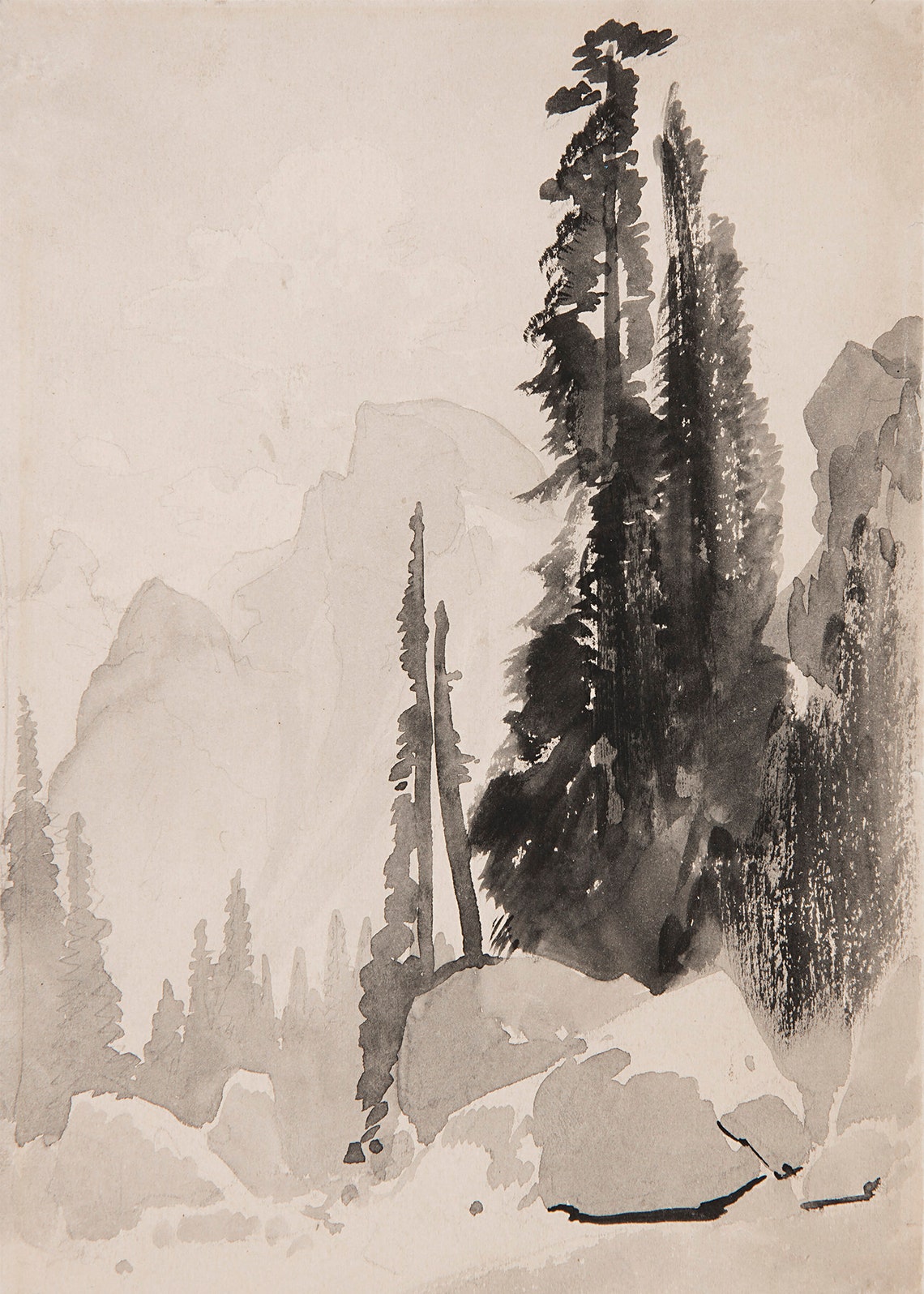 Tree Sketch Vintage Rustic Nature Art Print - Image 3