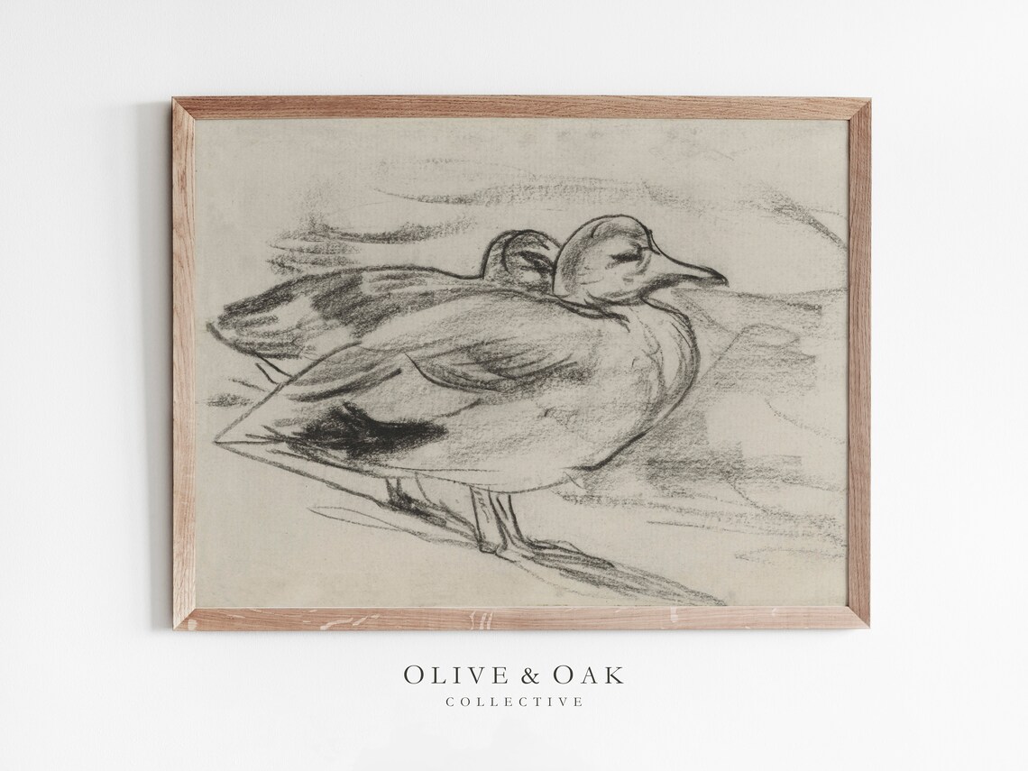 Vintage Duck Sketch Art Print, Rustic Farmhouse Decor