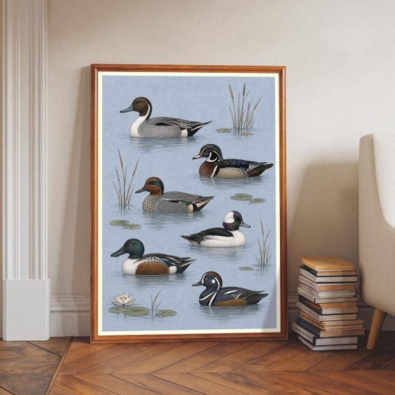 Duck Species Print Waterfowl Wall Art Wildlife Decor Nature Lover Gift