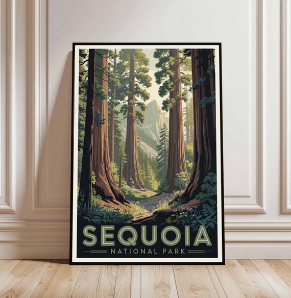 Sequoia Poster National Park Wall Art Print Birthday Present Home Decor Gift Nature Artwork Illustration