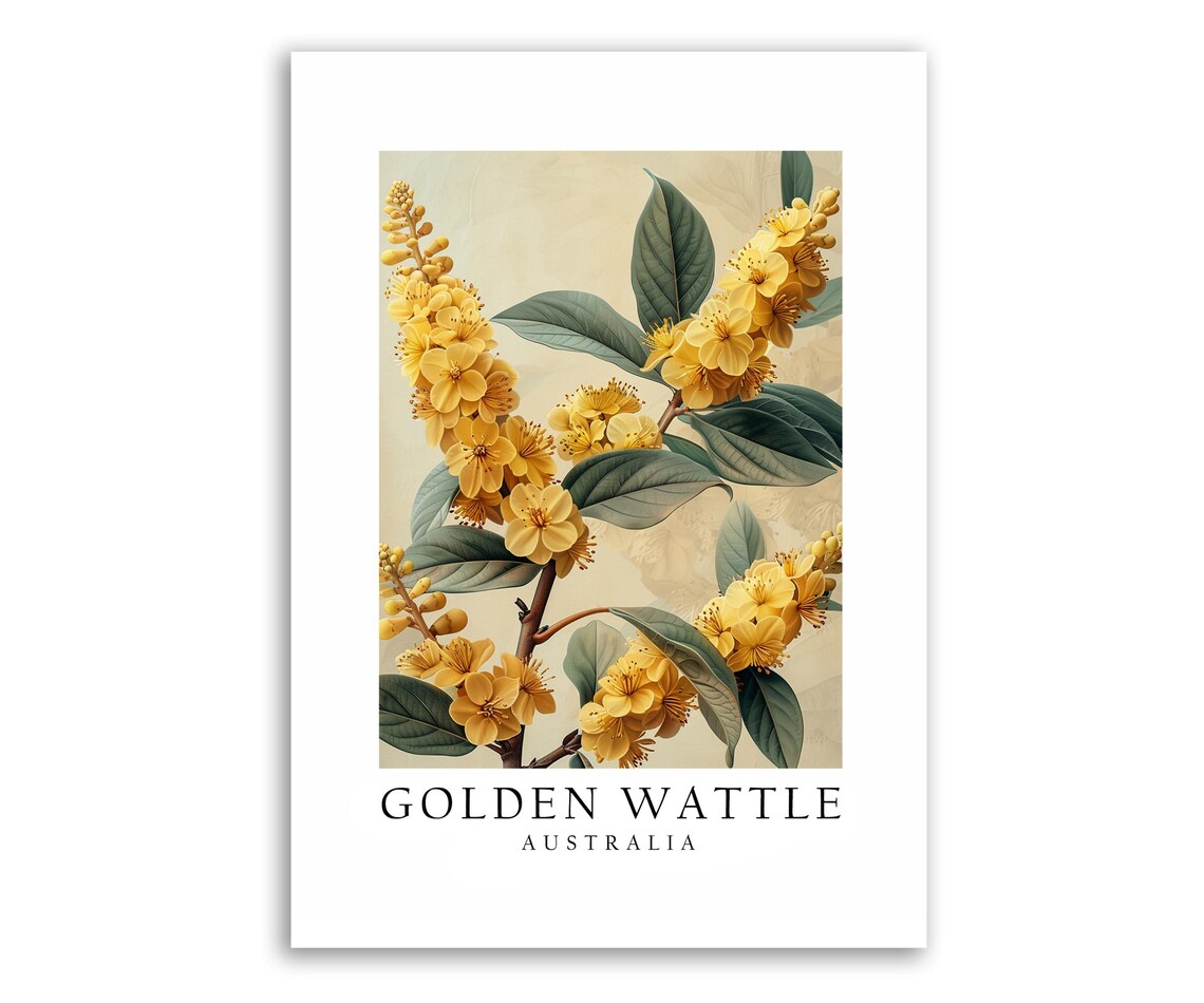 Australia National Flower Wall Home Decor Poster