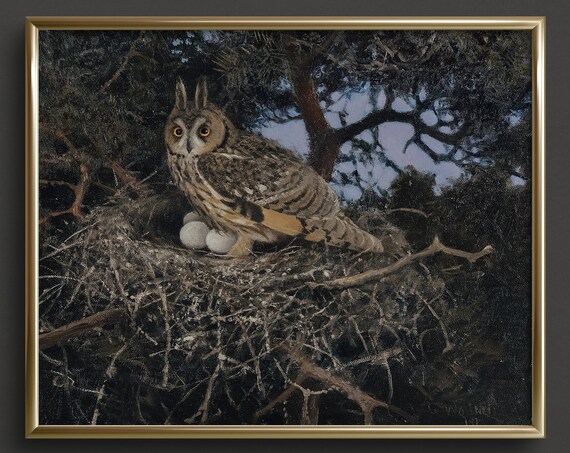 Long-Eared Owl in Nest with Eggs Night Forest Vintage Art Print