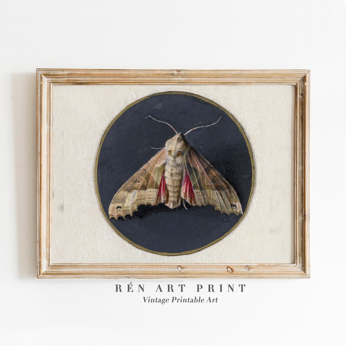Vintage Moth Art Print, Dark Cottagecore Wall Art
