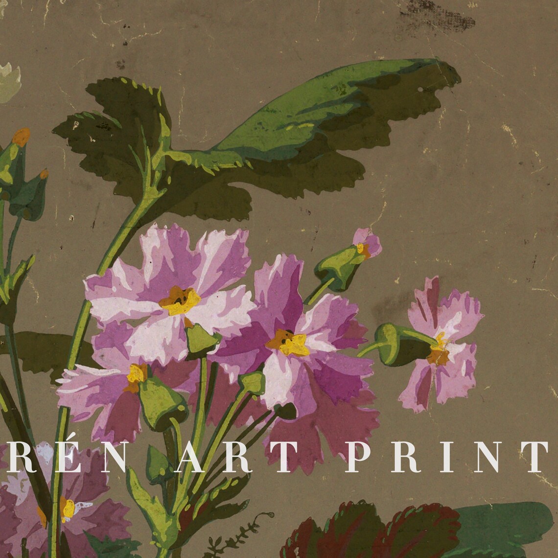 Vintage Floral Botanical Art Print, Country Farmhouse - Image 2