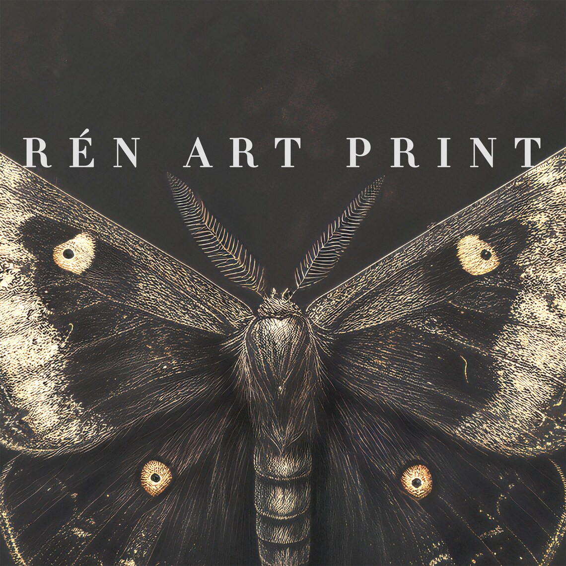 Vintage Black Butterfly Art Print, Gothic Wall Art - Image 3