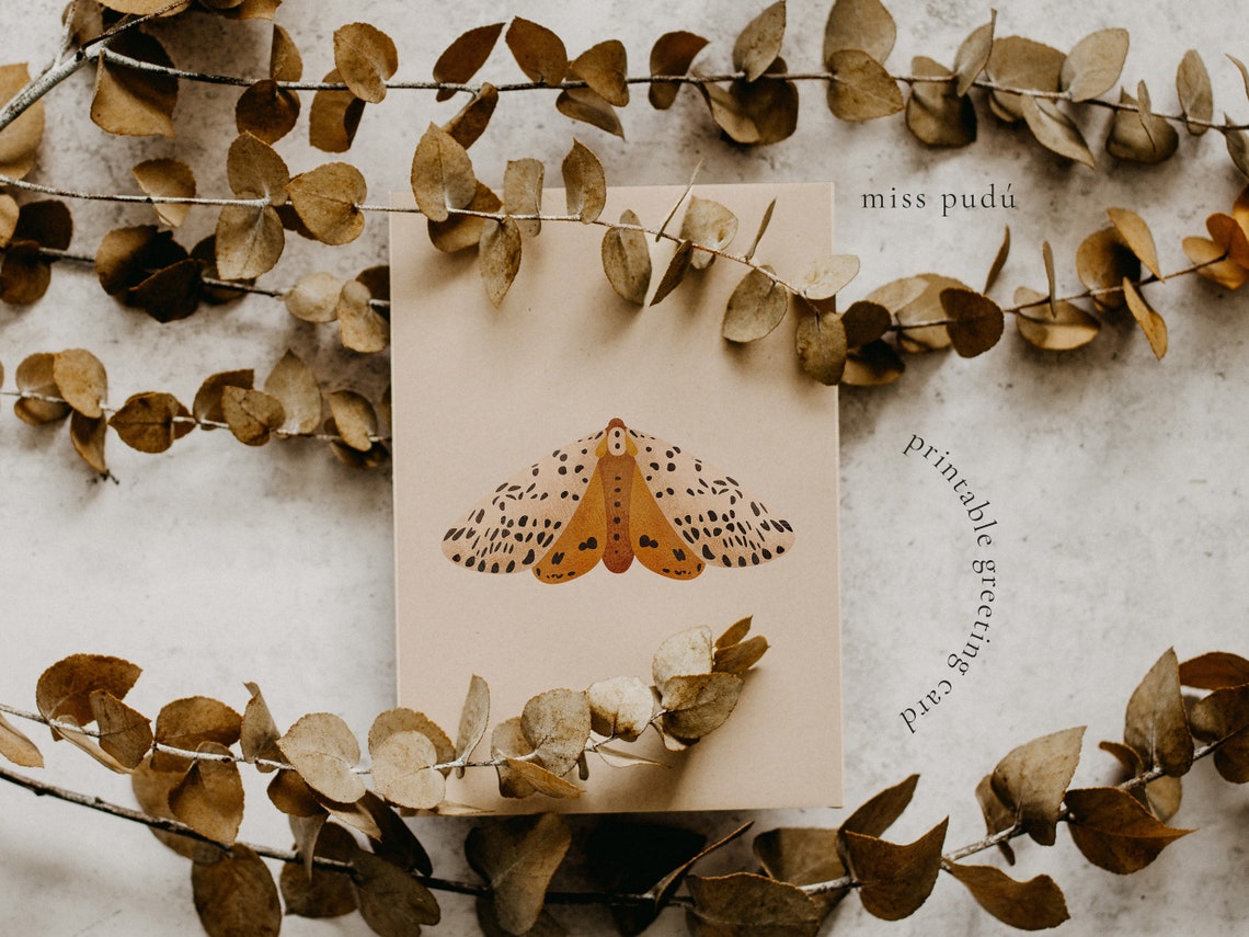 Moth Illustration Printable Greeting Card Boho Nature Wall Art