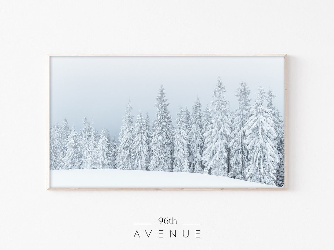 Foggy Winter Pine Forest with Snow Laden Evergreen Trees Poster