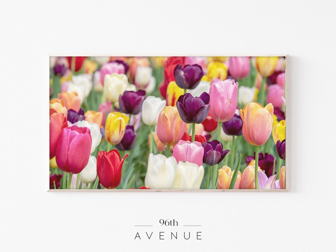 Spring Tulips Art Print, Seasonal Wall Decor