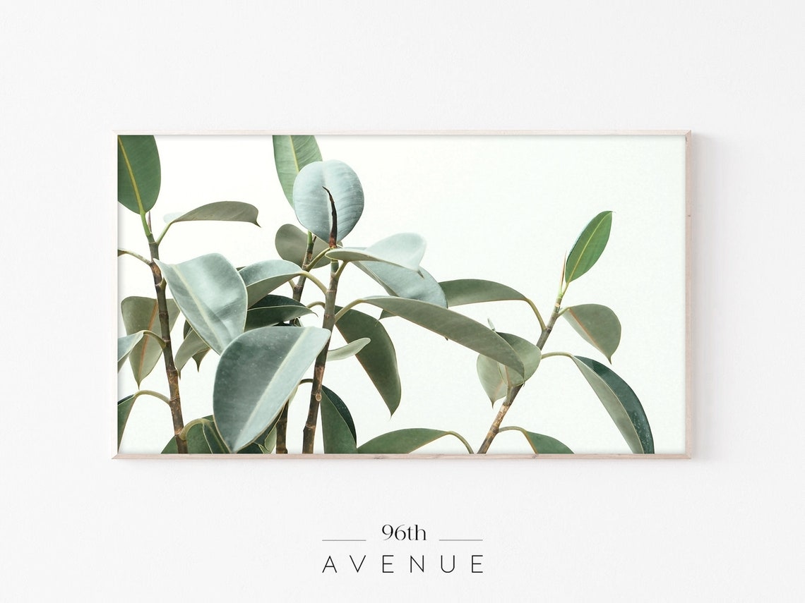Ficus Rubber Plant Green Leaves Botanical Photo Home Decor Poster