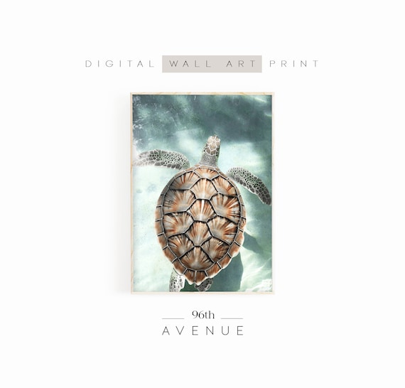 Sea Turtle Print Coastal Prints Photography Underwater Photo Wall Art Sea Animal Print