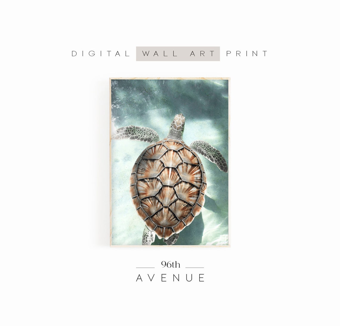 Sea Turtle Gliding Over Shallow Turquoise Water Wildlife Print