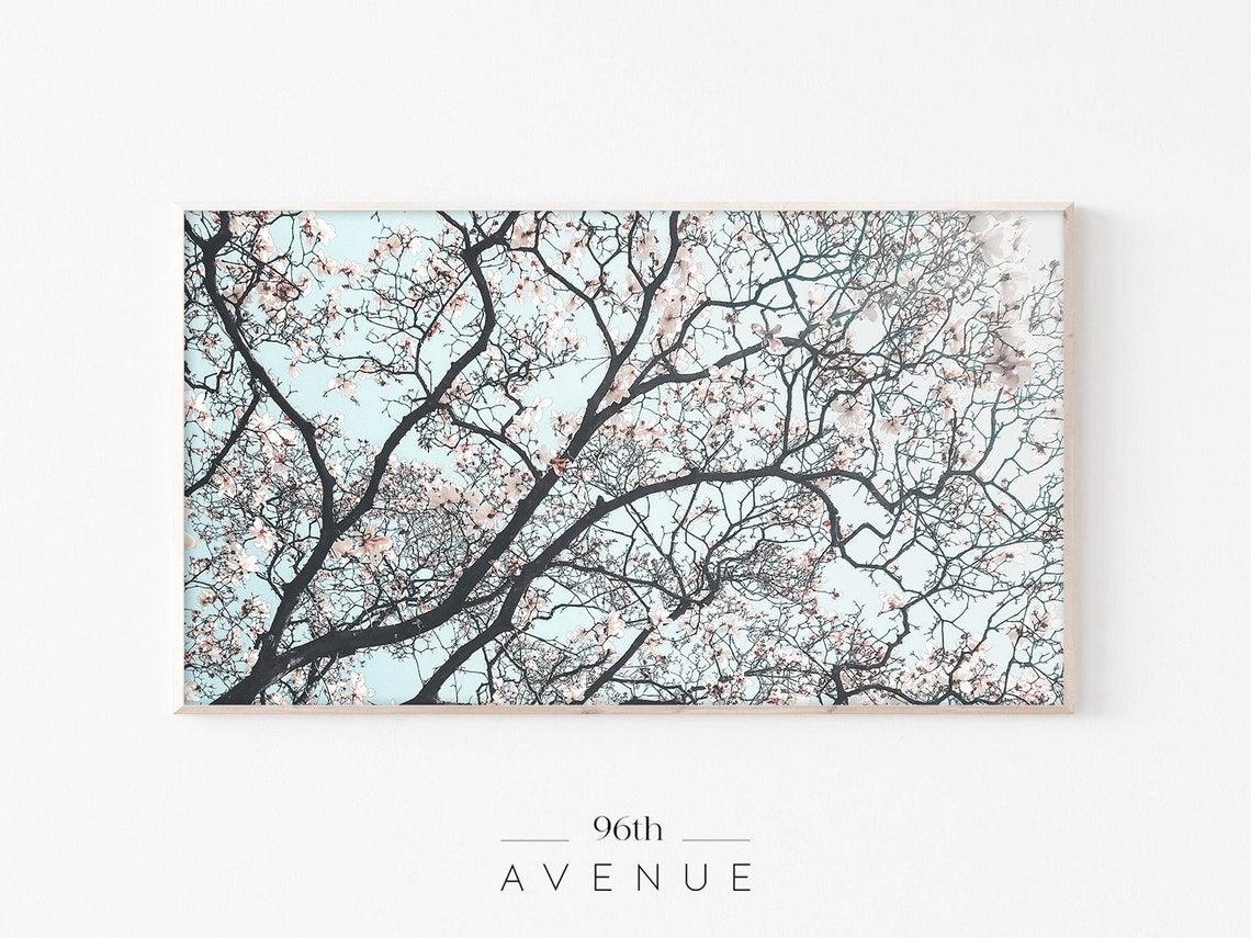 Cherry Blossom Branches Pale Blue Sky Springtime Botanical Poster