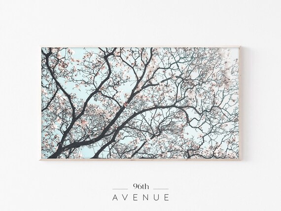Cherry Blossom Branches Pale Blue Sky Springtime Botanical Poster