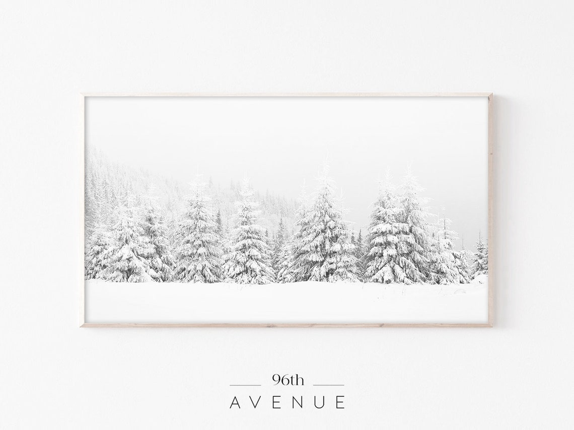 Snow Covered Pines White Winter Fog Forest Photography Poster