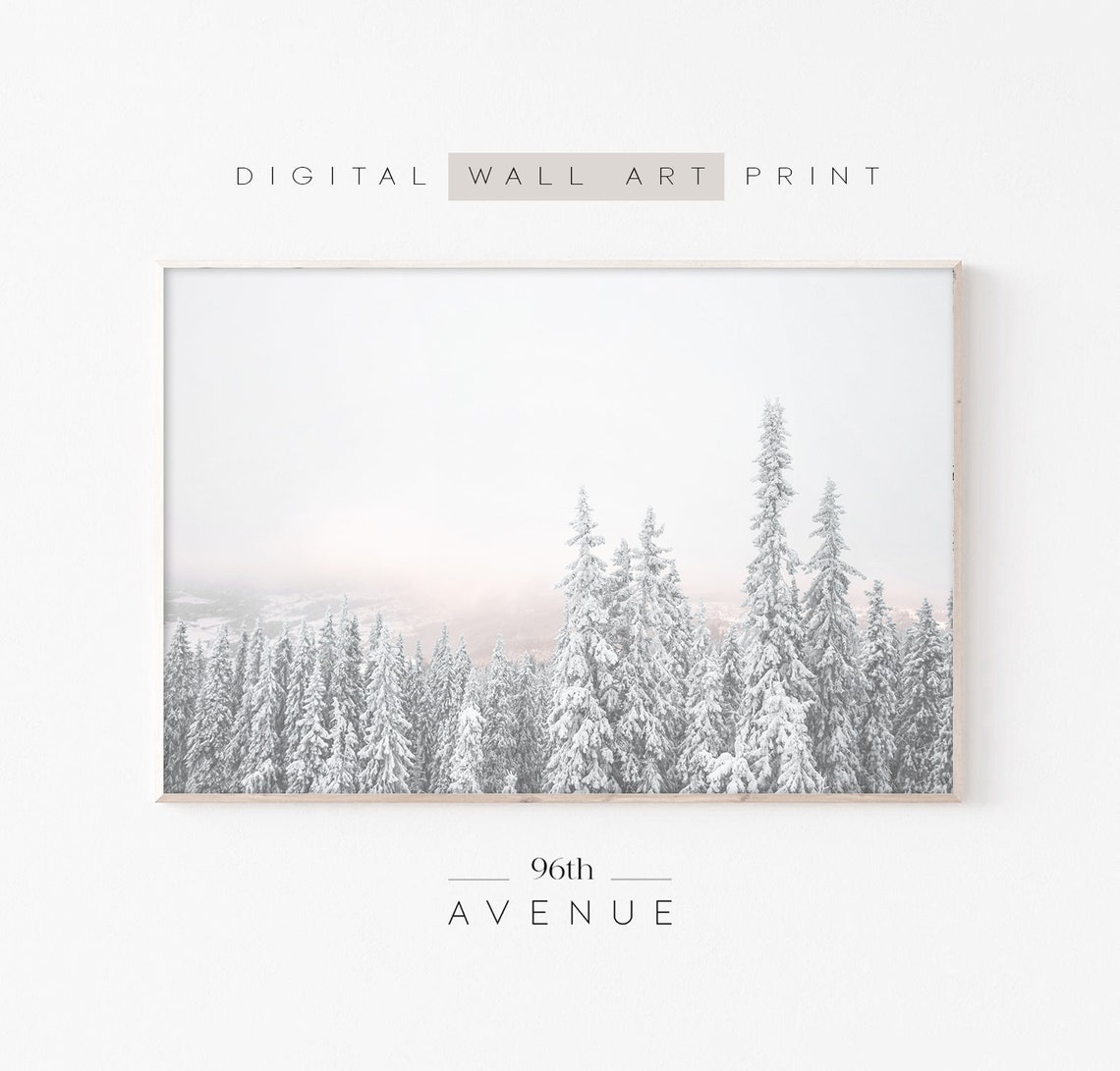 Foggy Snowy Pine Treetops Fading into Soft White Winter Mist Poster