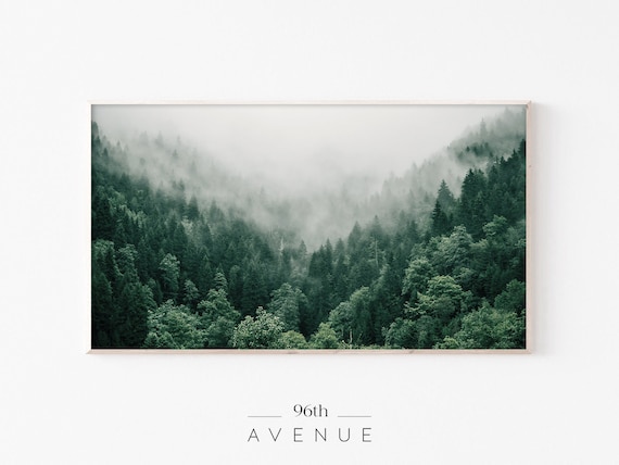 Foggy Forest Art Print