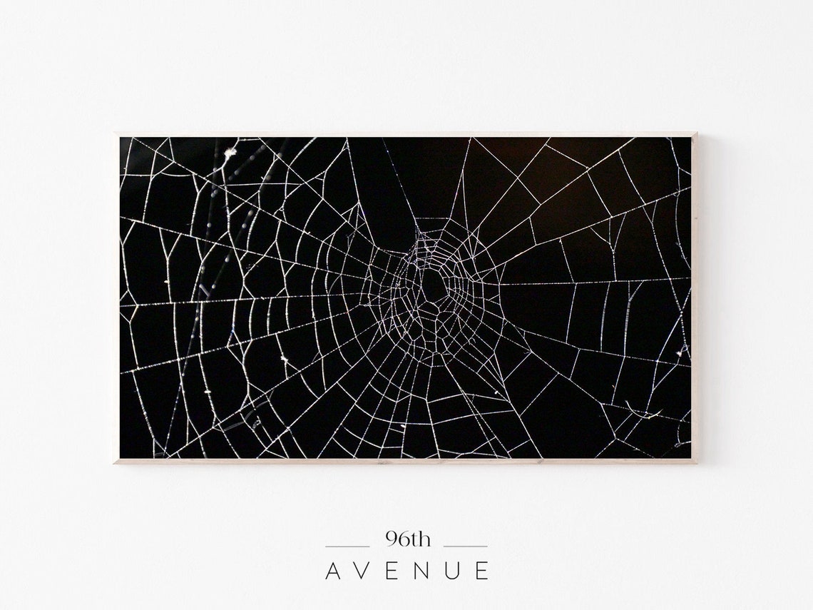 Spider Web Art For TV