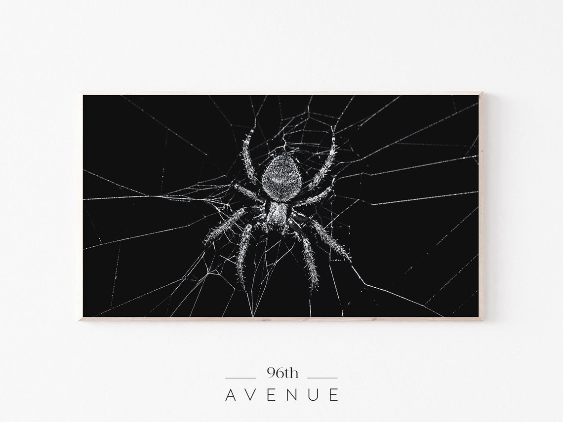 Giant Spider Web Close-Up Dramatic Black Background Halloween Poster