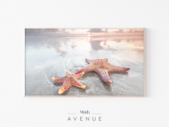 Frame Tv Art Beach Art Starfish Art Print Frame Art Tv Art Frame Coastal Art Tv Tv