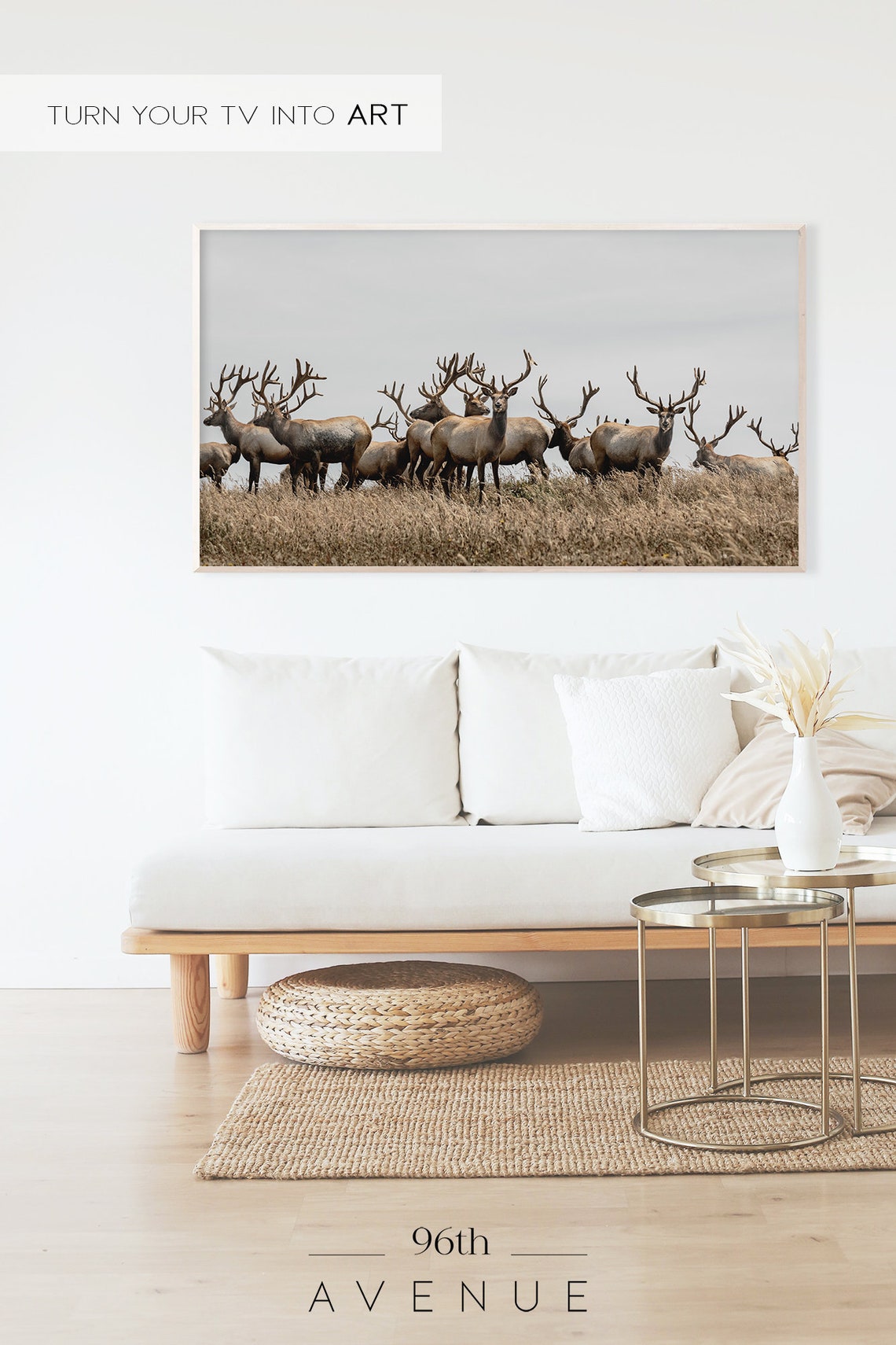 Elk Herd with Large Antlers Standing in Tall Golden Grass Poster - Image 2