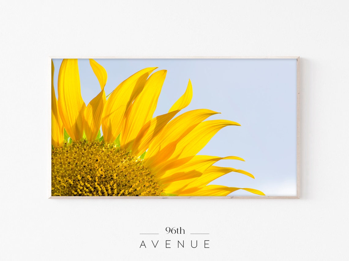 Bright Sunflower Close Up Against Blue Sky Cheerful Flower Poster