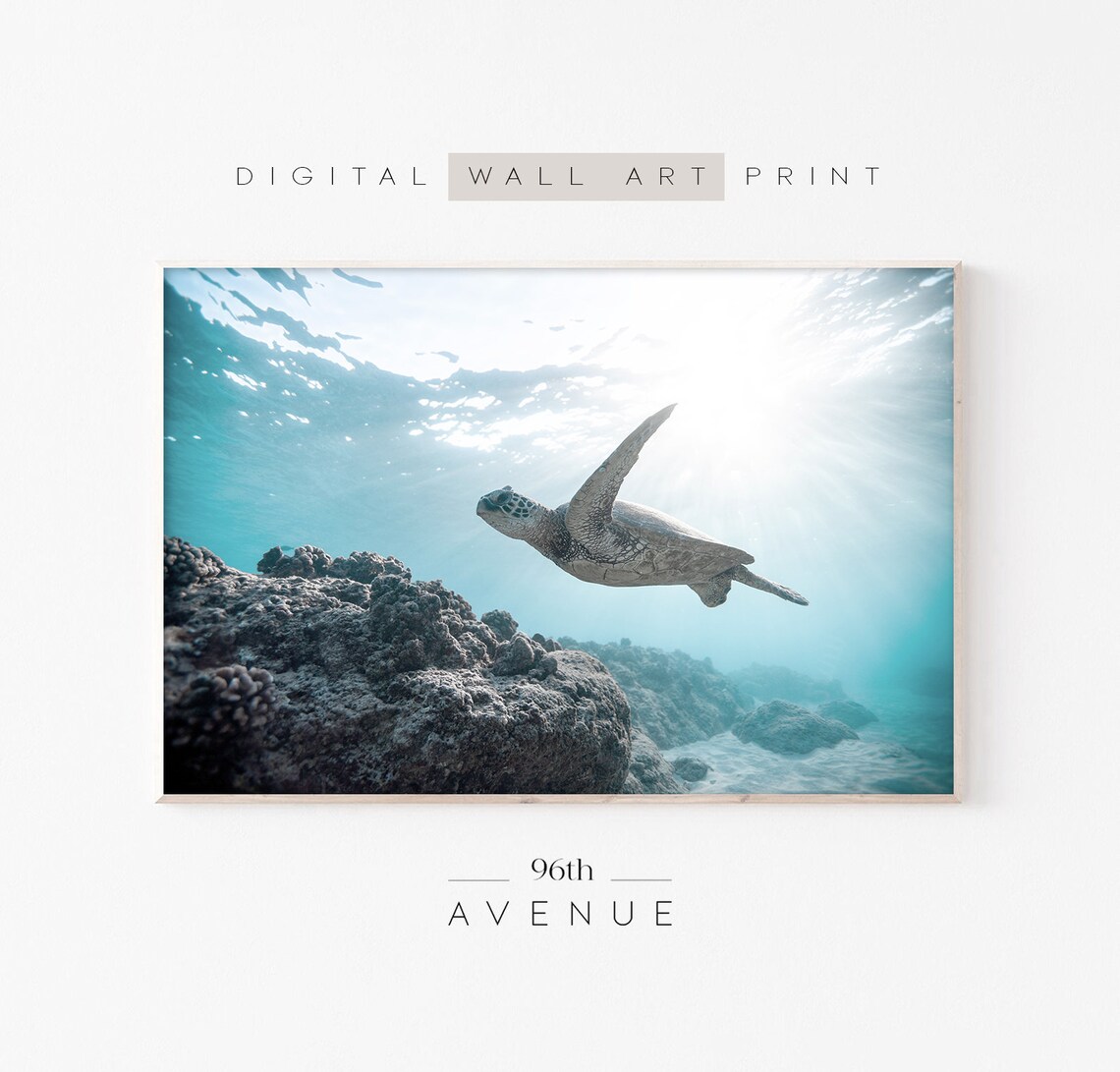 Sea Turtle Coastal Photography Art Print