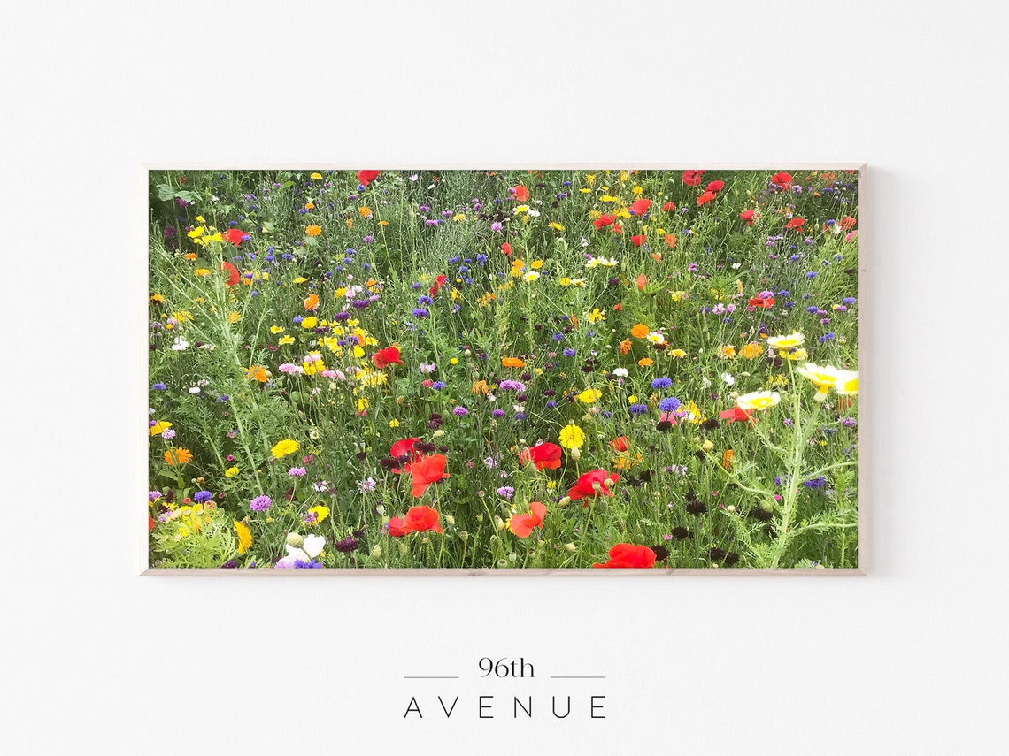 Colorful Wildflower Meadow Spring Poppies Field Photo Poster