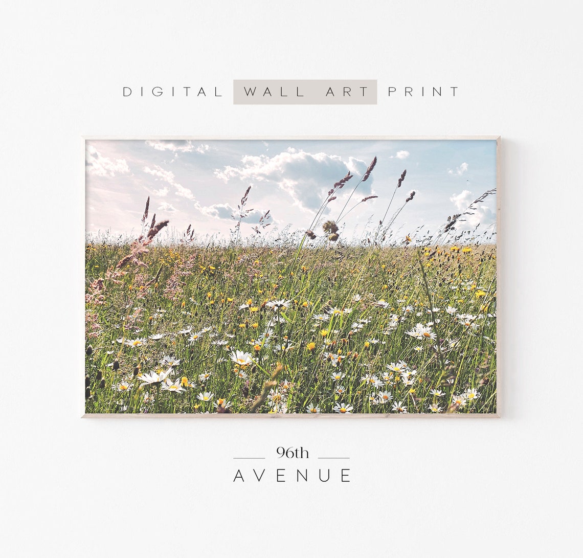 Summer Wildflower Meadow with Daisies Blue Sky Photography Poster