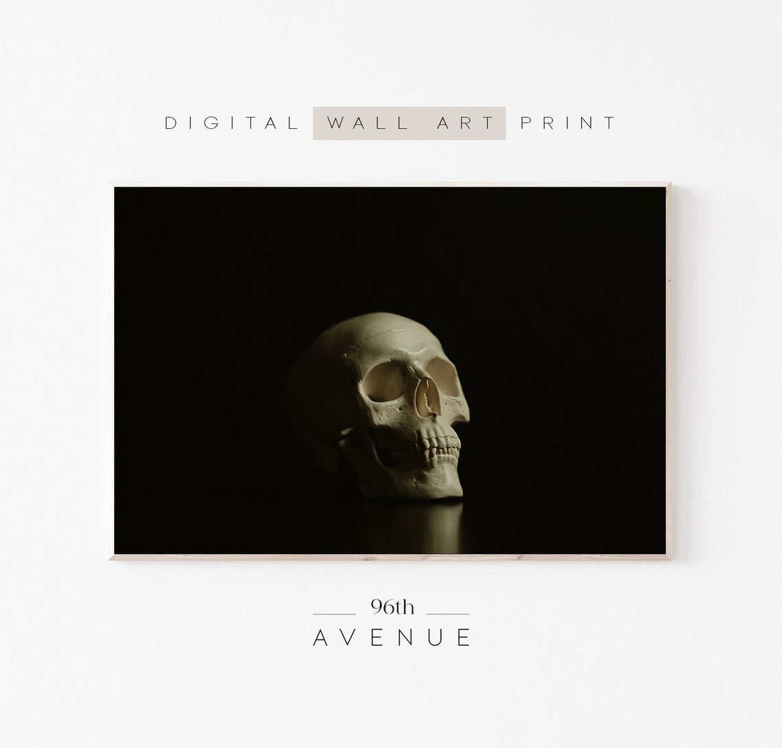 White Human Skull On Dark Black Background Still Life Art Poster