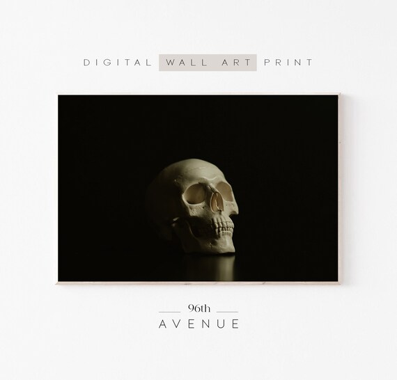 White Human Skull On Dark Black Background Still Life Art Poster