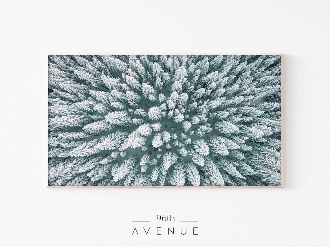Aerial Winter Forest Art Print