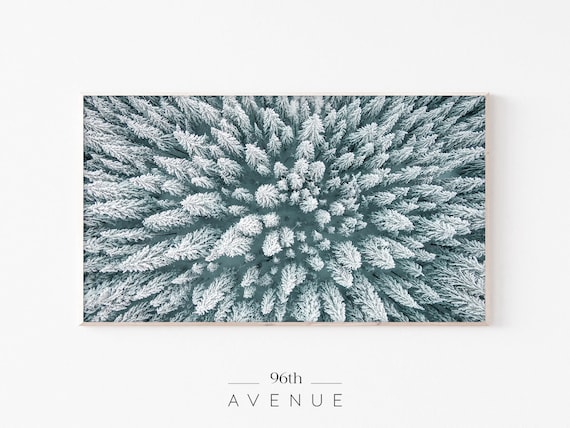 Aerial Winter Forest Art Print