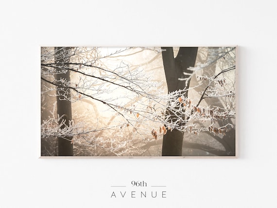 Winter Forest Sunset, Holiday Seasonal Art Print