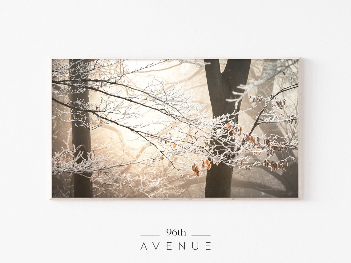 Winter Forest Sunset, Holiday Seasonal Art Print