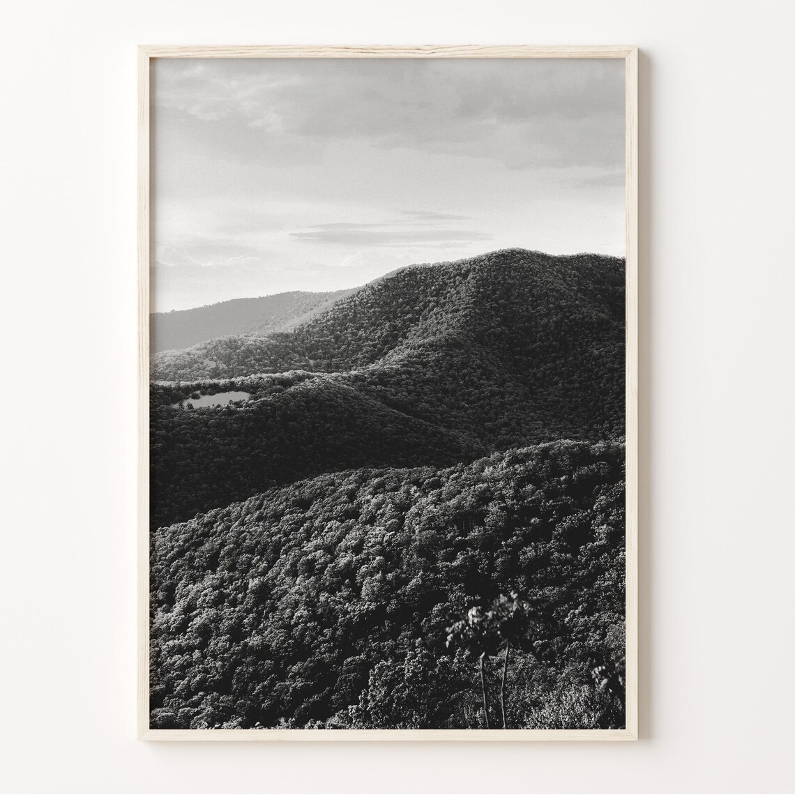 Shenandoah National Park Print Black And White Wall Art Virginia Poster Shenandoah Photo Usa Art North America Photography C19 167