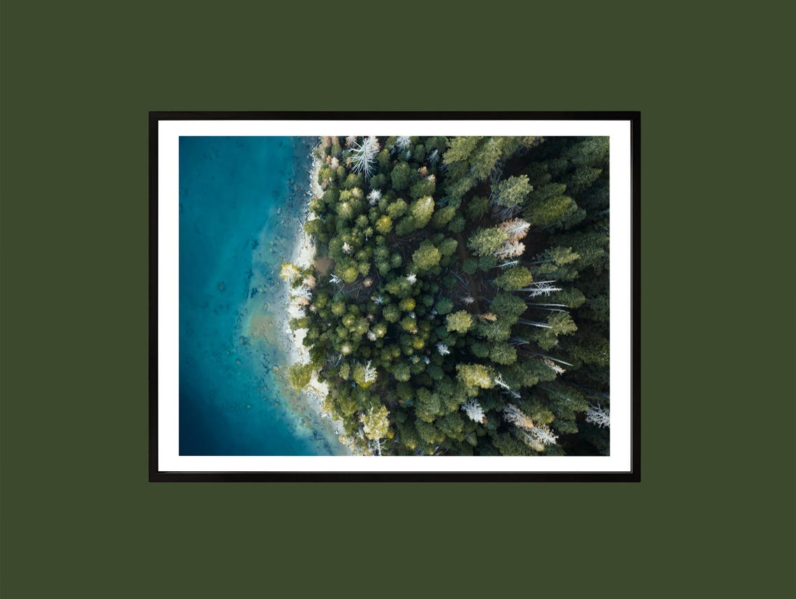 Forest Lake Aerial Shoreline Turquoise Water Top Down Photo Poster