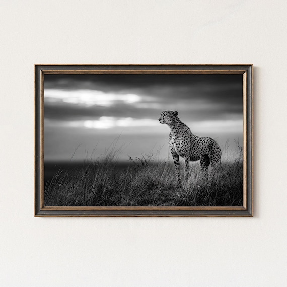 Black And White Cheetah Print Minimalist African Wildlife Photography